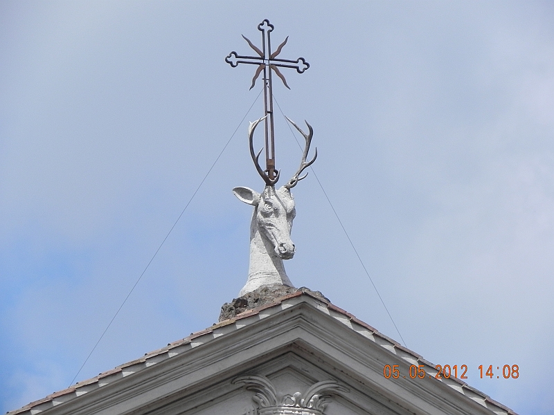 DSCN0508.JPG