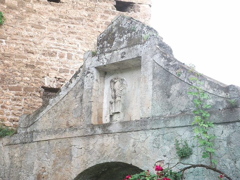 DSCF1030.JPG