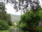 DSCN0656