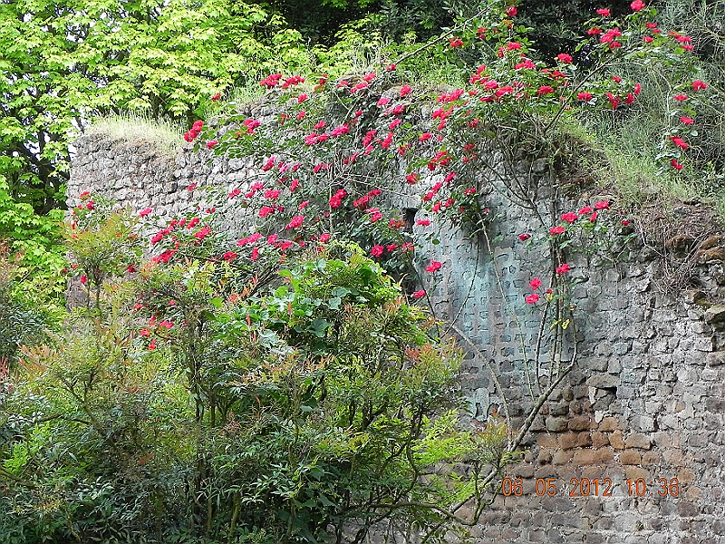 DSCN0565.JPG