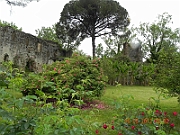 DSCN0585