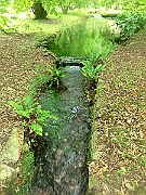 CIMG2340