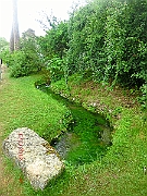 CIMG2355
