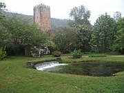 DSCF0944