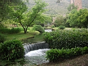 DSCF0945