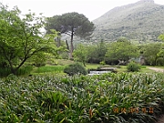 DSCN0535