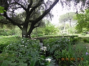 DSCN0659