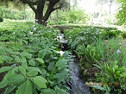 DSCN0660