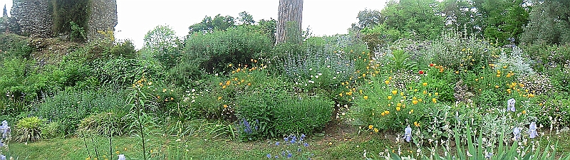CIMG2260.JPG - panorama 120