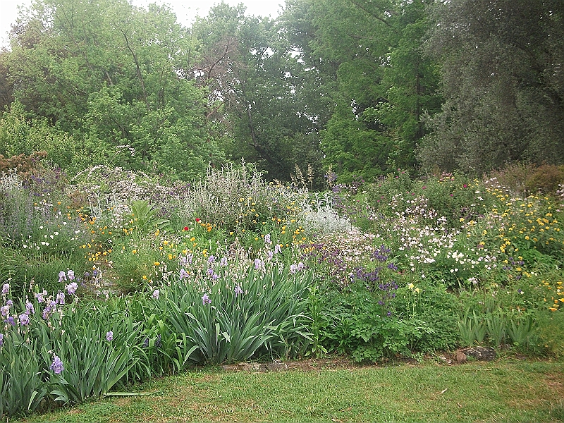 DSCF0969.JPG