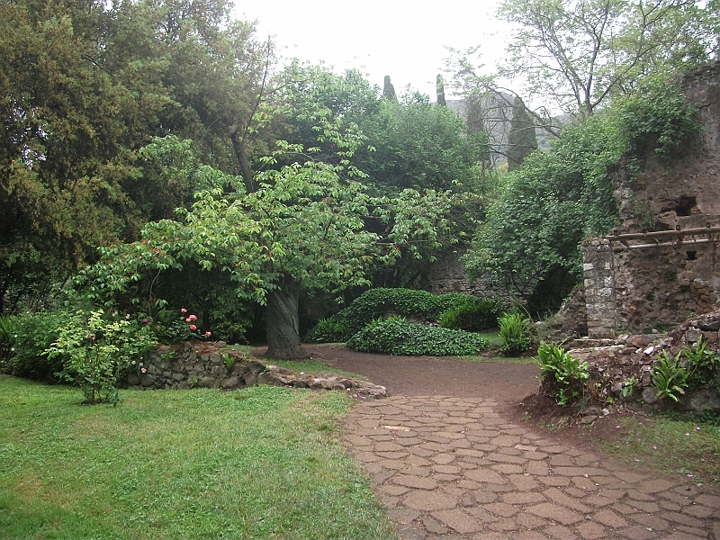 DSCF0984.JPG