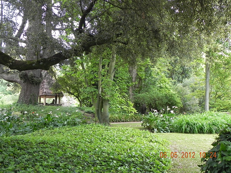 DSCN0543.JPG