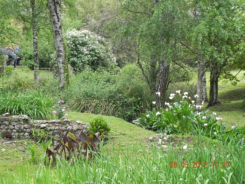 DSCN0546.JPG