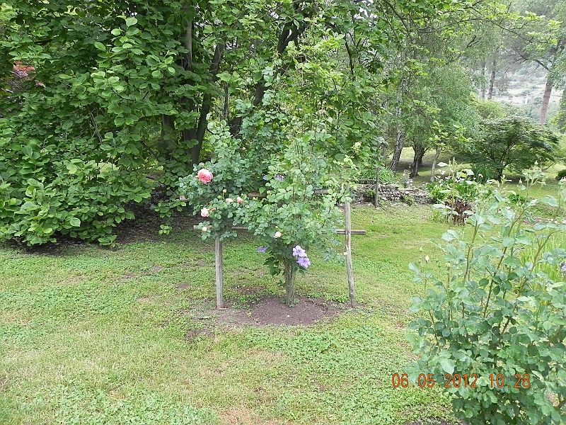 DSCN0547.JPG