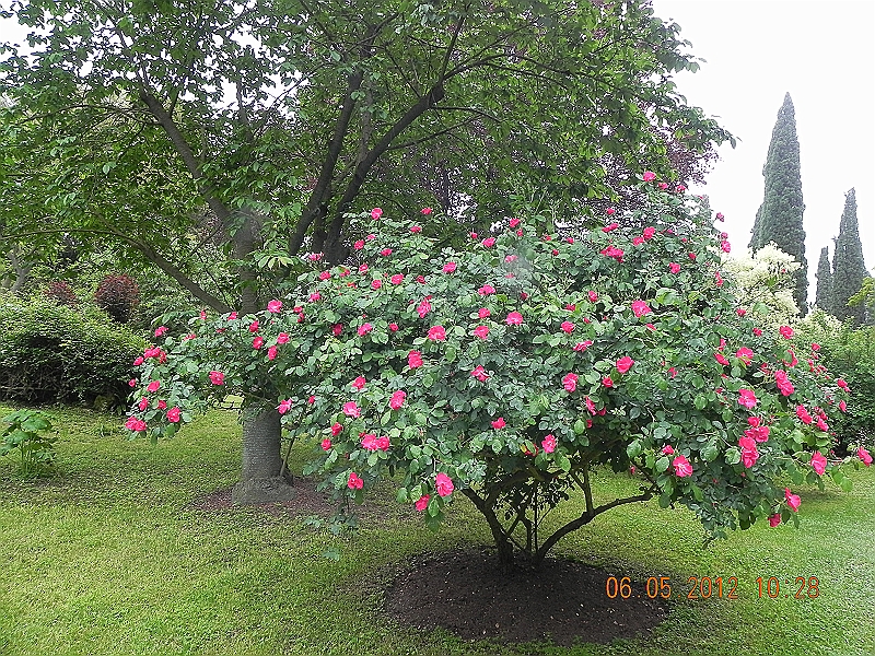 DSCN0548.JPG