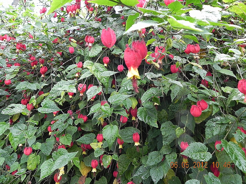 DSCN0573.JPG