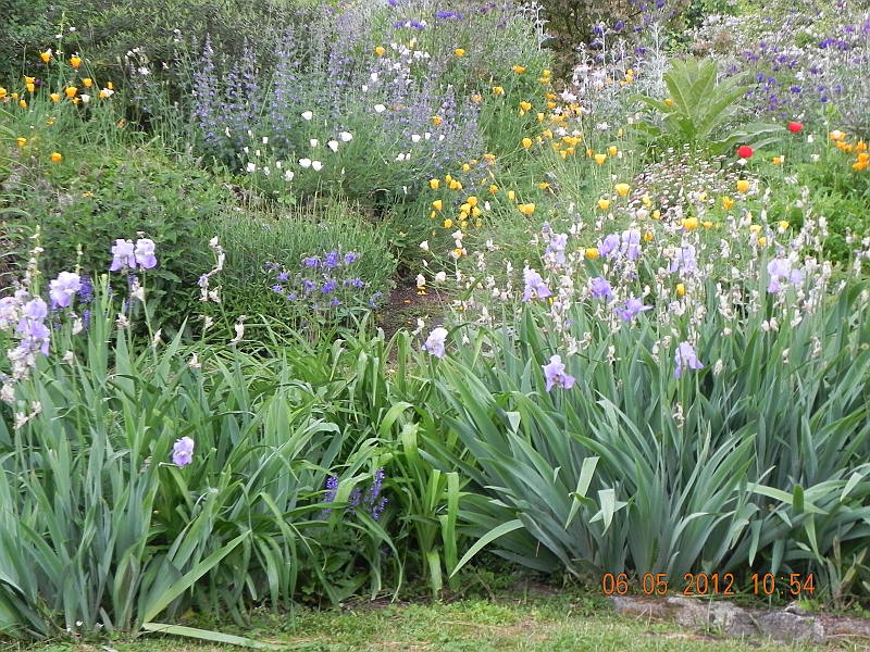 DSCN0589.JPG