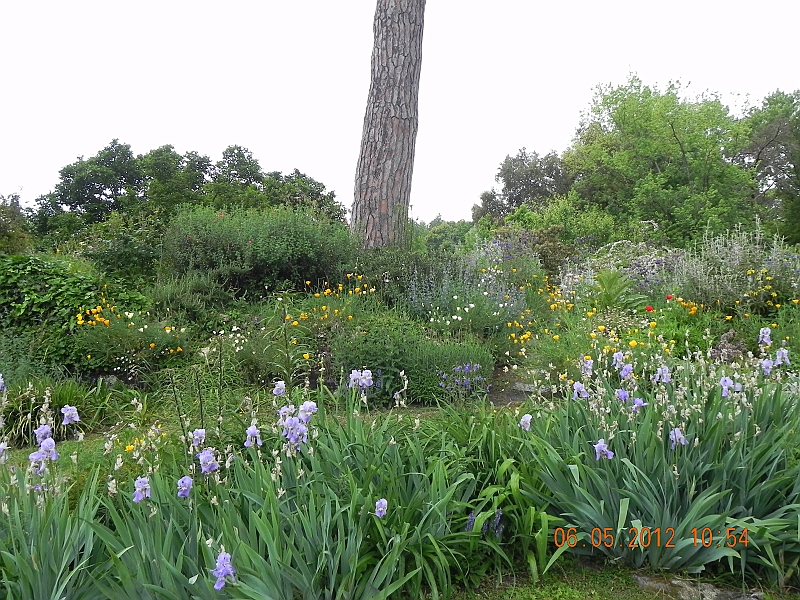 DSCN0591.JPG
