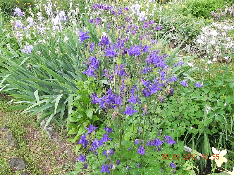 DSCN0593.JPG
