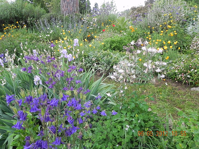 DSCN0594.JPG