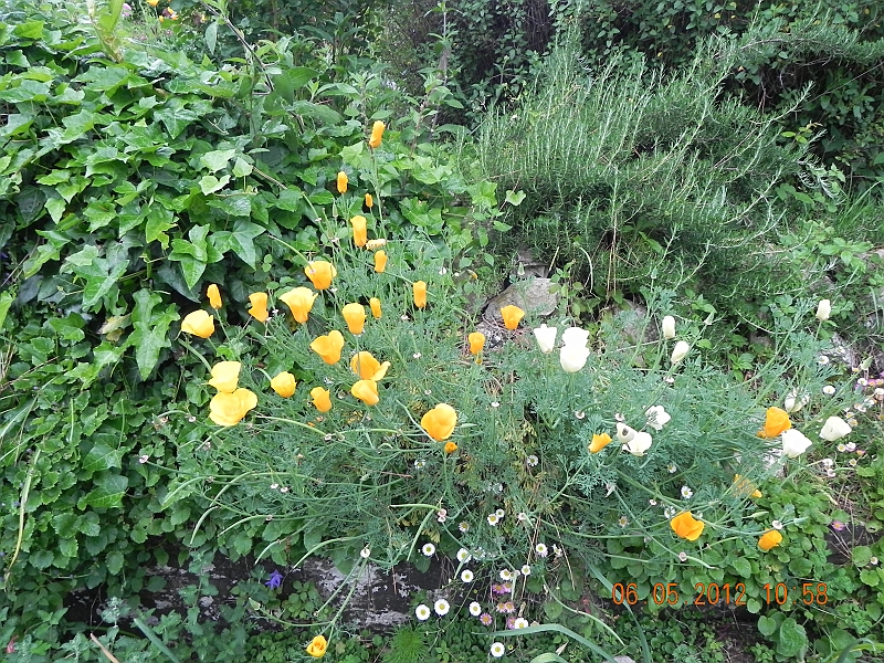 DSCN0600.JPG