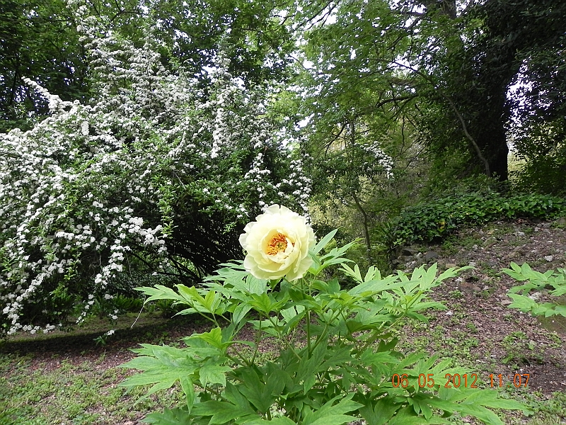 DSCN0612.JPG