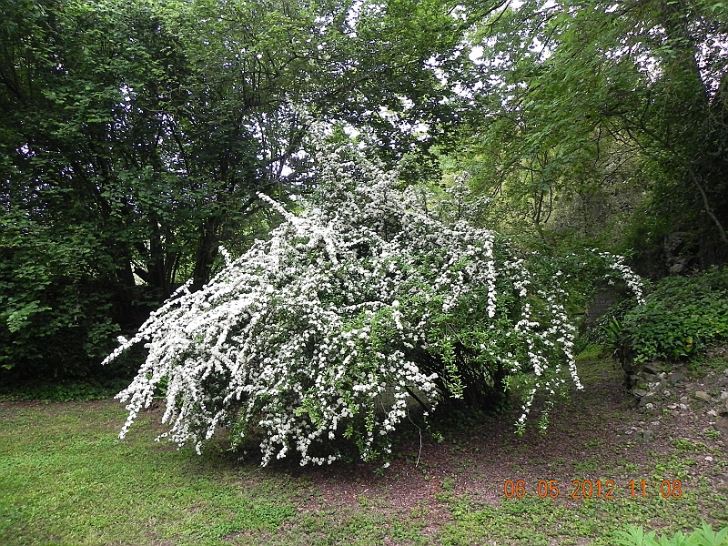 DSCN0613.JPG