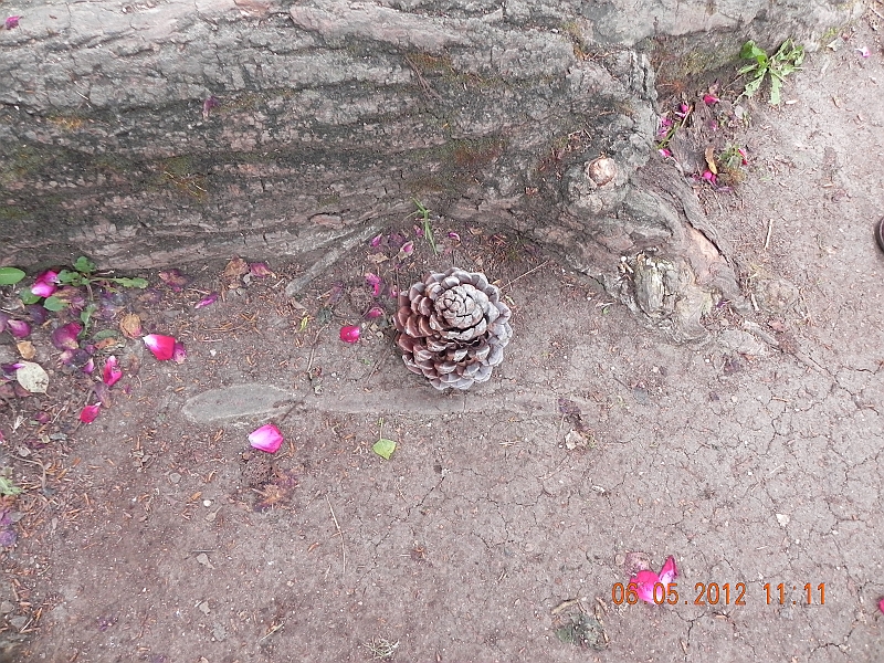 DSCN0619.JPG
