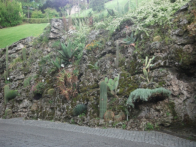 DSCF1209.JPG