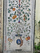 CIMG2427