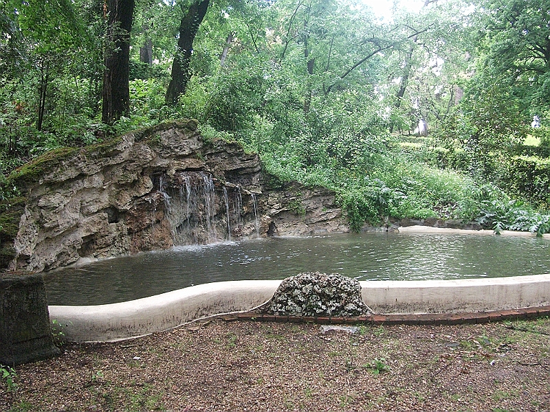 DSCF1126.JPG