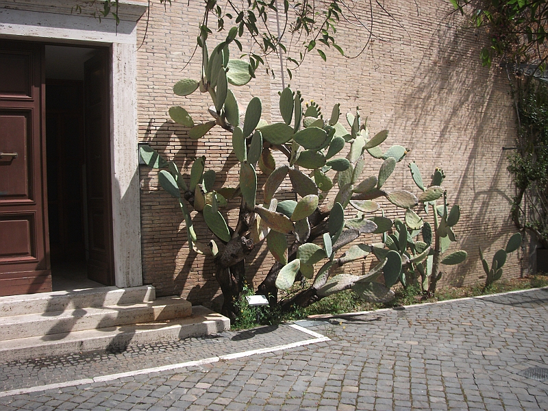 DSCF1138.JPG