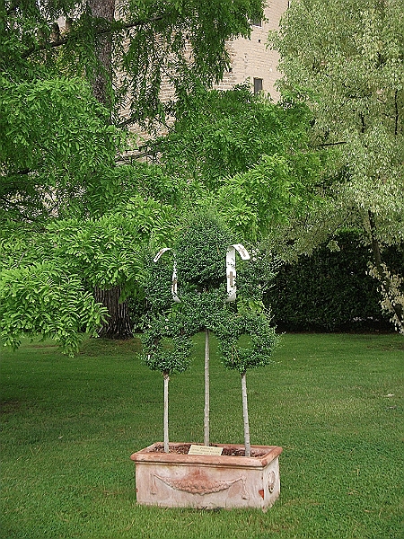 DSCF1165.JPG