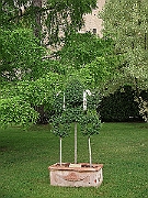 DSCF1165