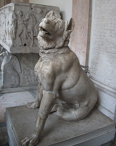 DSCF1238.JPG
