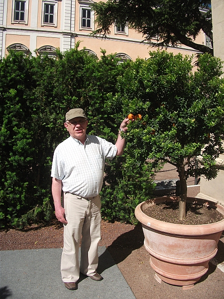 DSCF1364.JPG