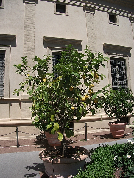 DSCF1450.JPG