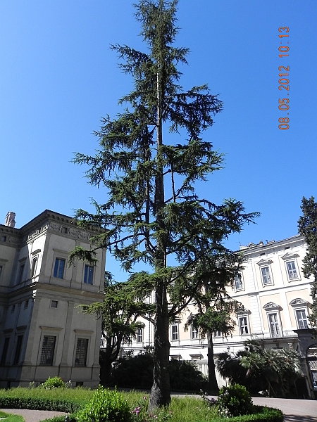 DSCN0918.JPG