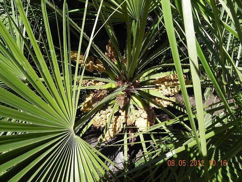 DSCN0920.JPG