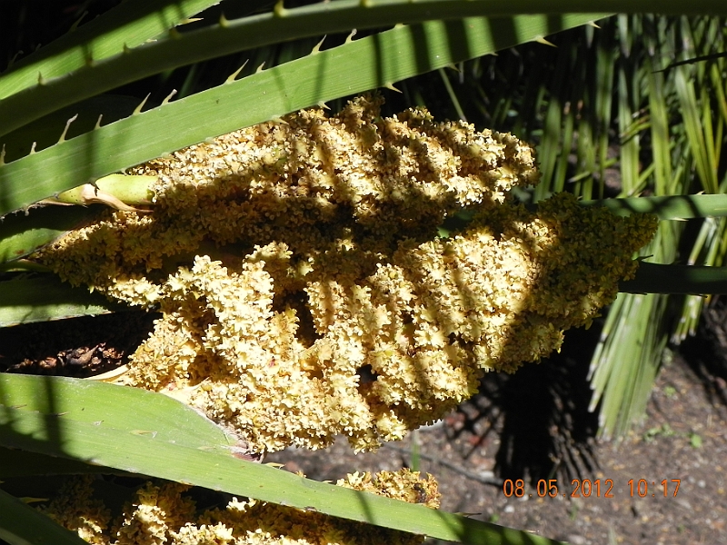 DSCN0921.JPG