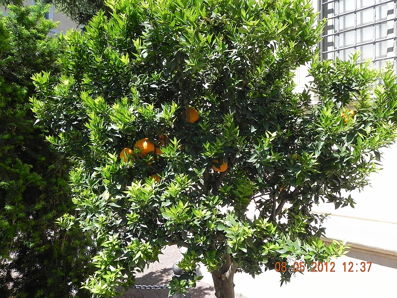 DSCN0982.JPG