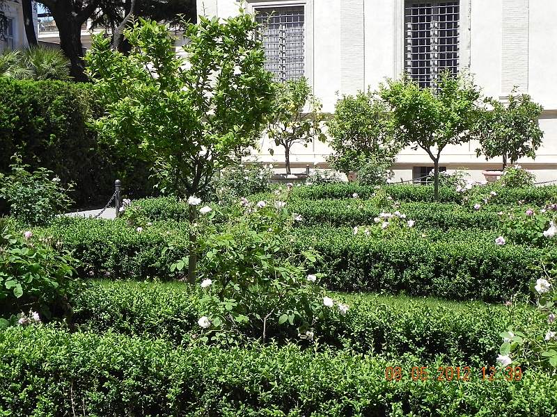 DSCN0986.JPG