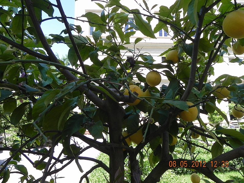 DSCN0987.JPG