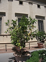 DSCF1450