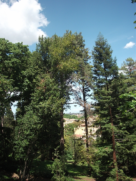 DSCF1466.JPG