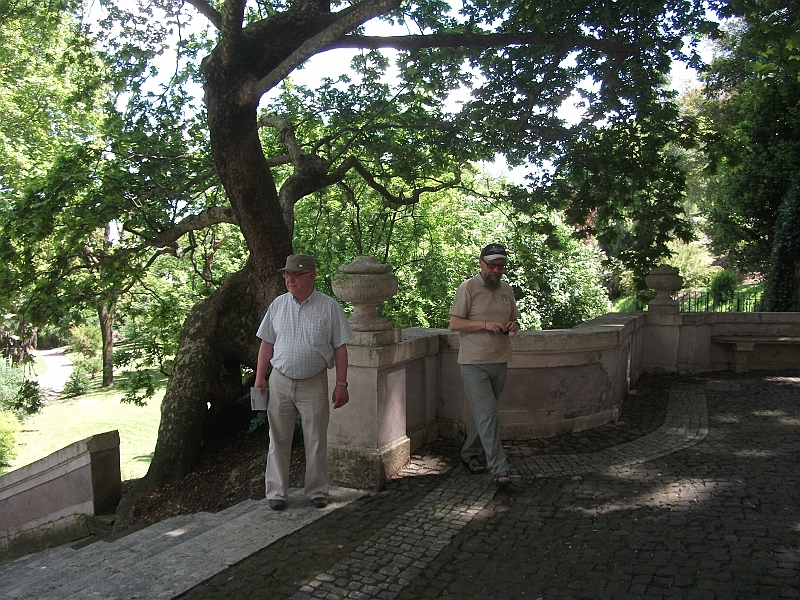 DSCF1468.JPG