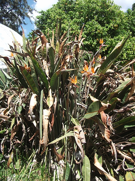 DSCF1472.JPG