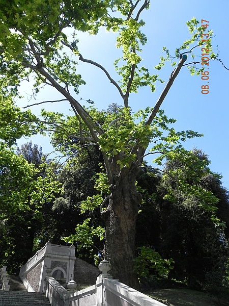 DSCN1000.JPG