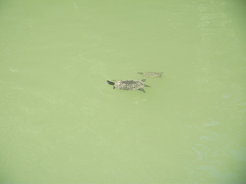 DSCF1764.JPG