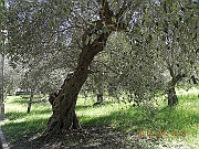 DSCN1202